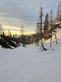 Fotografija s spletne strani Robert Treven na poti