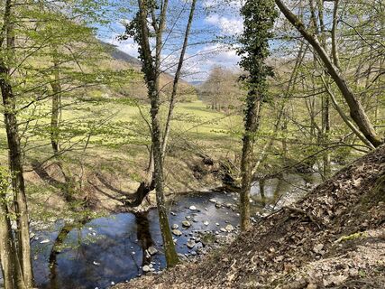 Foto von Bacskai János entlang der Tour