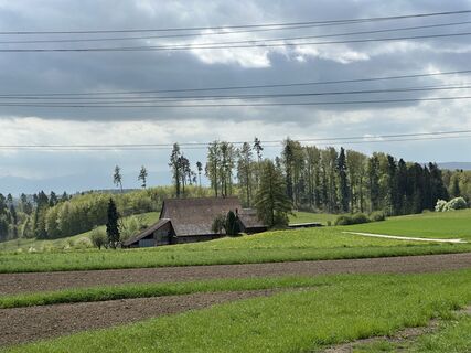Fotografie z Ursi Kriesi na trase