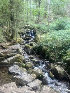 Photo de Frank Nagel-Gallery le long du parcours