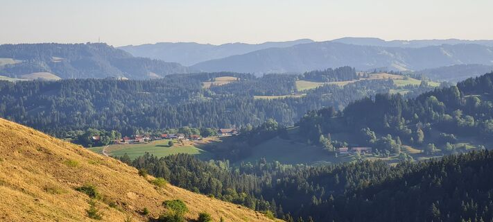 Fotografia z Bps Wiedemann na trase