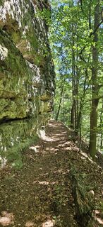 Fotografija s spletne strani Bert na poti
