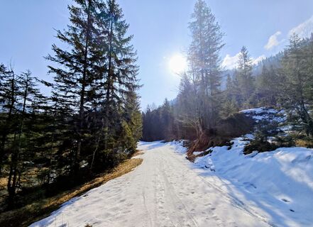 Foto von Michi Steiert entlang der Tour