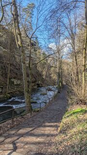 Foto von hochlandfamilie entlang der Tour
