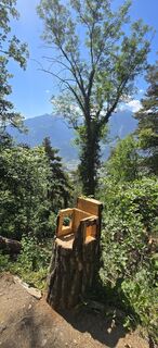 Photo de titi le long du parcours