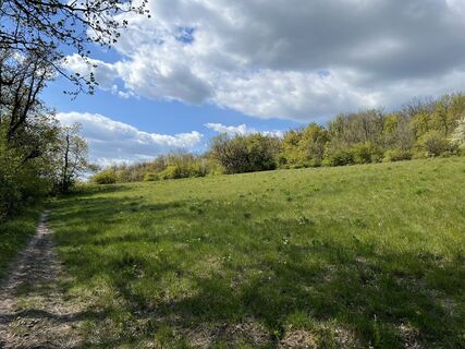Fotografija s spletne strani Nóra Adamkovich na poti