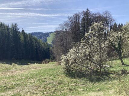 Photo de Moonytiger le long du parcours