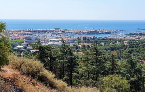 Balade Mont Saint Loup TSOFT 1