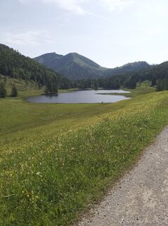 Fotografia z Maximilian1945 na trase