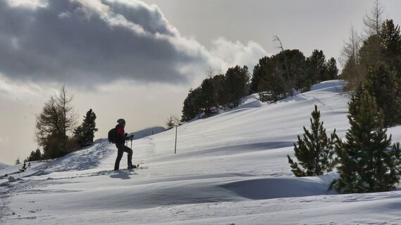 Eingewehte Winterlandschaft