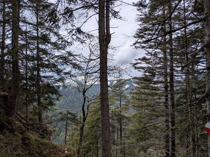 Fotografija s spletne strani Carsten Holzhauer na poti