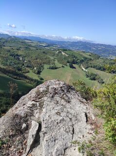 Photo de Brigitte Scheuffele le long du parcours