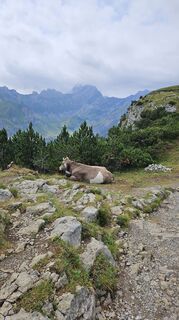 Foto von Rita entlang der Tour