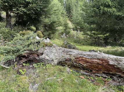 Fotografie de la Simon Bauer 1268 de-a lungul turului