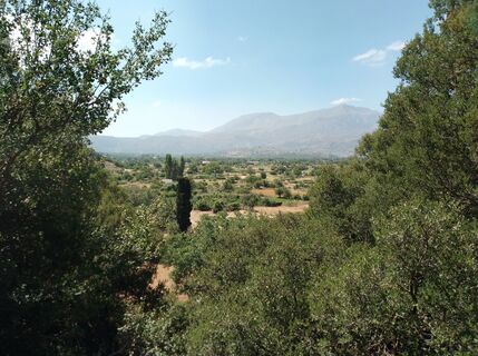 Photo de MopsBiene le long du parcours
