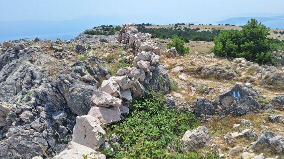 Foto från Aga M under resans gång