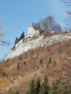 Zdjęcie z P Kowatschek wzdłuż trasy