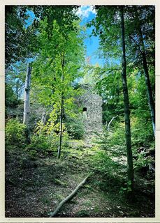 Photo de Weidenbaum le long du parcours