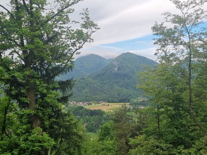 Foto de Grizli a lo largo del recorrido