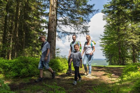 Wandernde Familie im Wald