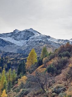 Fotografie z Pinzger Petra ??‍♀️?? na trase