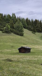 Photo de Cilli Waldhof le long du parcours