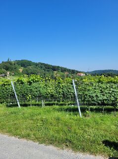 Fotografia z Franz Bauer 9 na trase