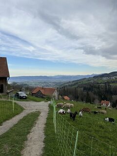 Foto von Cyrill Bischof entlang der Tour
