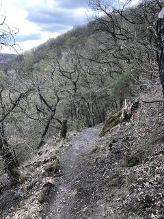 Foto de BieneM a lo largo del recorrido