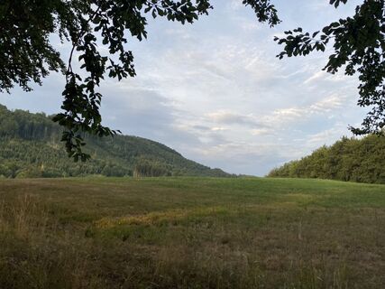 Foto von Andreas Reiter 6 entlang der Tour