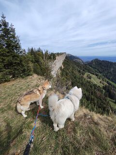 Foto von Sonja Herdeg entlang der Tour