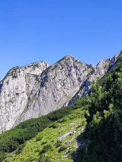 Blick zum Donnerkogel, Anstieg rechts am Latschenrand