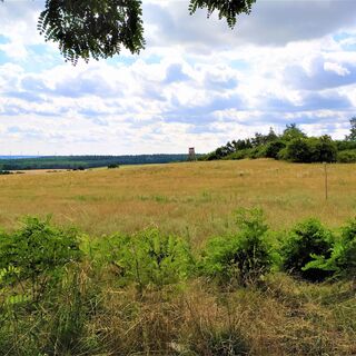 Aussicht vom Dolchauer Berg