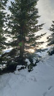 Foto de Urban Wille a lo largo del recorrido