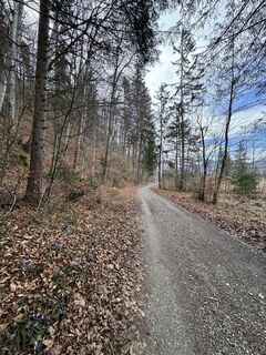 Foto von Denise Miller entlang der Tour