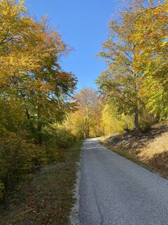 Fotografia z Thomas Handlir na trase