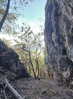 Fotografia z Matheo Kraule na trase