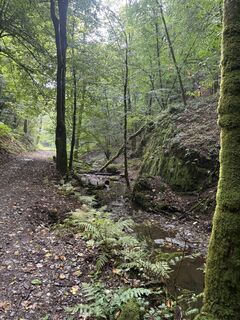 Zdjęcie z Lucas Galjaard wzdłuż trasy