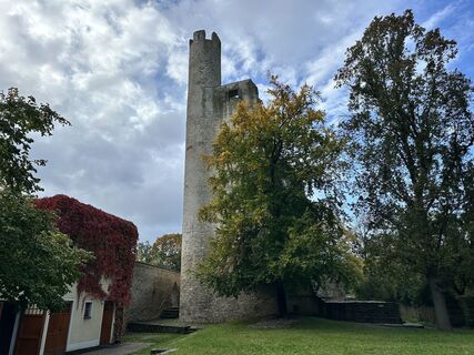 Foto de Norbert Herbig a lo largo del recorrido