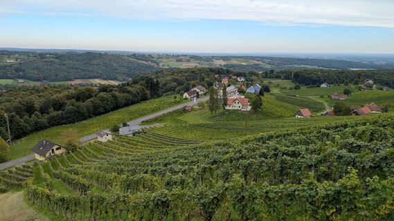 Photo de Günther Plasch le long du parcours