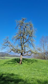 Fotografie z Christa Egle na trase