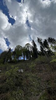 Foto von Maja Mariann Nagy entlang der Tour