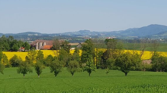 Foto von Bernard entlang der Tour