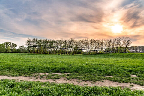 Biobotanik Lippeauen Aussicht