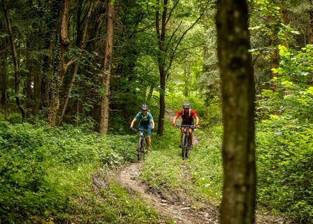 Granittrail