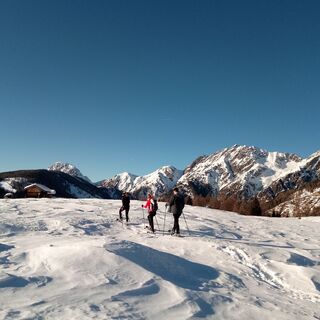 Lackenalm oberhalb von St. Lorenzen/Les.