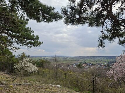 Foto de Maggy66 a lo largo del recorrido