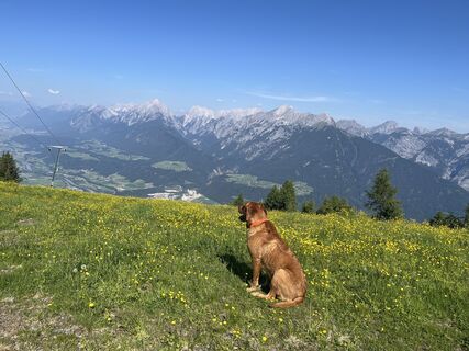 Fotografija s spletne strani Jasmin na poti