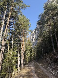 Foto von Michael Strimitzer entlang der Tour