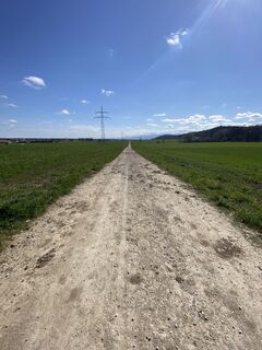 Photo de Sven Krieblin le long du parcours